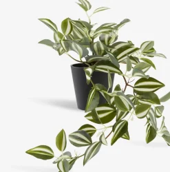 ASGARPlanta artificial ASGAR A48cm colgante
