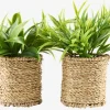 BERTRAMPlanta artificial BERTRAM Ø8xA18cm variado