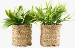 BERTRAMPlanta artificial BERTRAM Ø8xA18cm variado