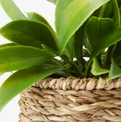 BERTRAMPlanta artificial BERTRAM Ø8xA18cm variado