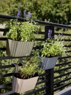 BUKSEBIEJardinera para balcón BUKSEBIE A25xL32xA25 variado