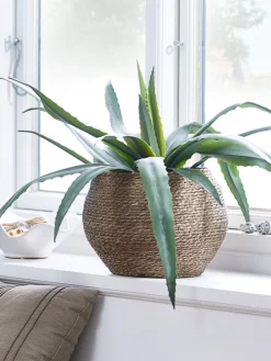 CELIUSPlanta artificial CELIUS A65cm aloe vera