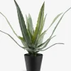 CELIUSPlanta artificial CELIUS A39cm verde