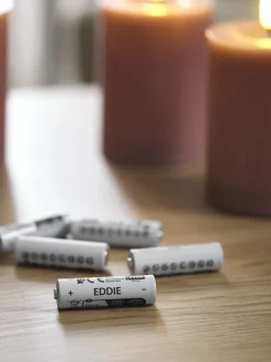 EDDIEPilas EDDIE AA 10 unidades