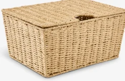 ESPENCaja ESPEN A40xL27xA19cm con tapa
