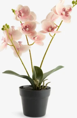 GUDJONPlanta artificial GUDJON A35cm orquídea rosa