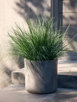 HAVELLEPlanta artificial HAVELLE A65cm gramínea verde