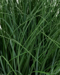 HAVELLEPlanta artificial HAVELLE A65cm gramínea verde