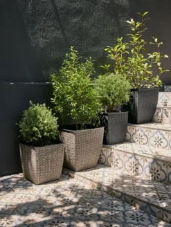 ISLOMCesto de jardín ISLOM 31x31x32 natural