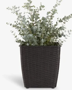 ISLOMCesto de jardín ISLOM 31x31x32 variado