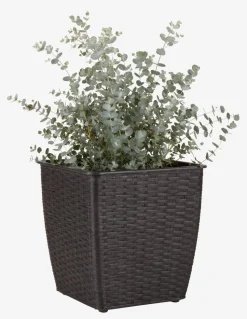 ISLOMCesto de jardín ISLOM 31x31x32 variado