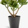 JOSTEINPlanta artificial JOSTEIN A23cm Crassula ovata