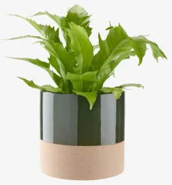 KRAGEMacetero KRAGE Ø16xA15 verde oscuro