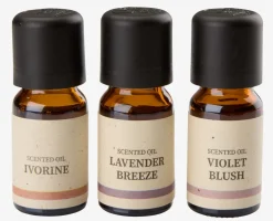 LEONAceite aromático LEON 10ml 3 unidades