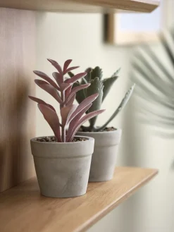LOVEPlanta artificial LOVE Ø7xA15 variado