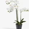 MATINUSPlanta artificial MATINUS A62cm orquídea blanca