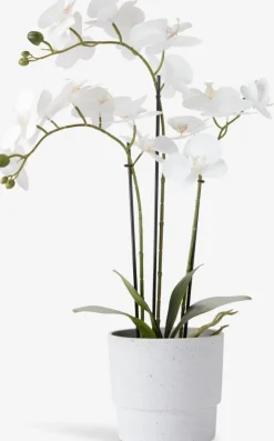 MATINUSPlanta artificial MATINUS A62cm orquídea blanca