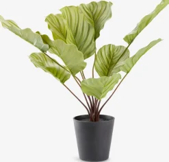 ROLFPlanta artificial ROLF A55cm verde