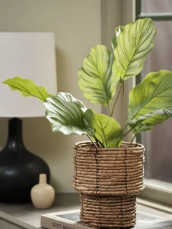 ROLFPlanta artificial ROLF A55cm verde