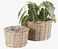 SANSEBIECesto de jardín SANSEBIE Ø35/27 kubu natural juego de 2