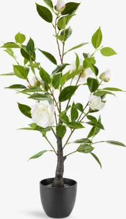 SOLOPGANGPlanta artificial SOLOPGANG A80 rosal blanco
