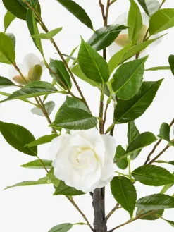 SOLOPGANGPlanta artificial SOLOPGANG A80 rosal blanco