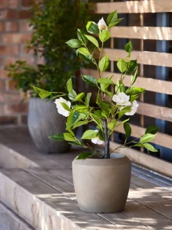 SOLOPGANGPlanta artificial SOLOPGANG A80 rosal blanco